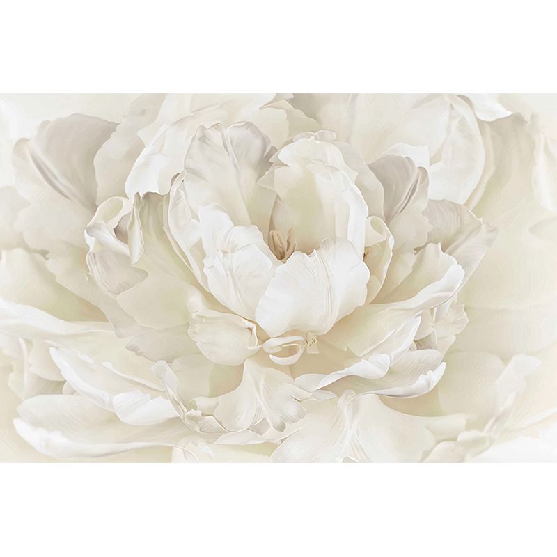 Close-Up Peony Blossom Murals White Minimalist Wall Covering for Living Room Decor