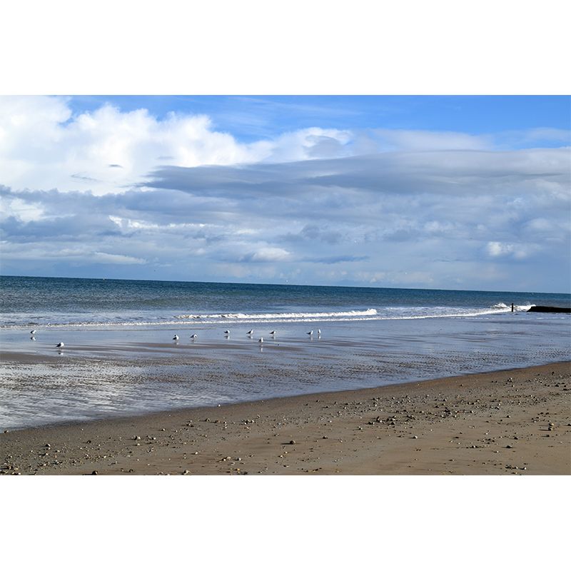 Minimalism Style Sandy Beach Mural Wallpaper for Living Room, Stain Resistant