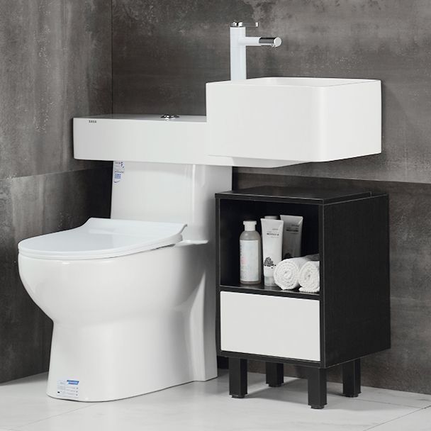 Contemporary Flush Toilet Floor Mount One-Piece Toilet Toilet Bowl