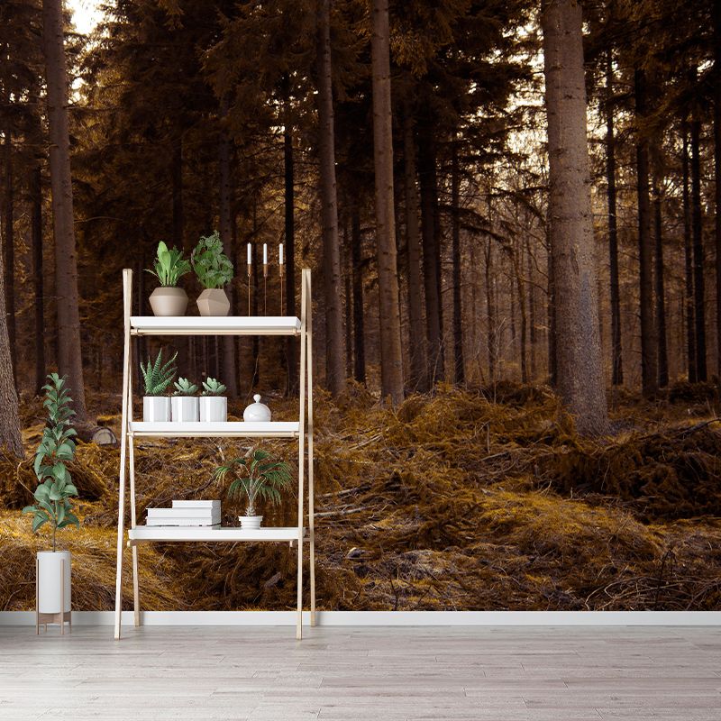 Modern Style Forest Mural Wallpaper Decorative Mildew Resistant Wall Decor