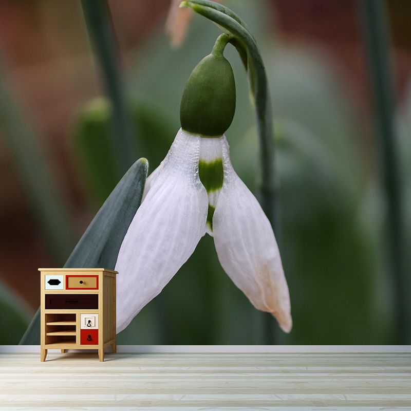 Modern Snowdrop Mural Wallpaper Stain Resistant Wall Covering for Living Room