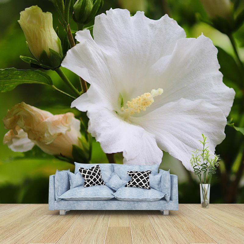 Photography Style Hibiscu Blossing Mural Wallpaper Modern Wall Covering for Living Room