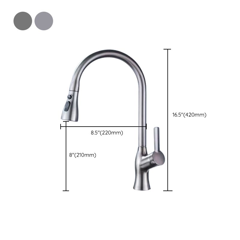 Modern 1-Handle Faucet Pull down with Water Dispenser Standard Kitchen Faucet