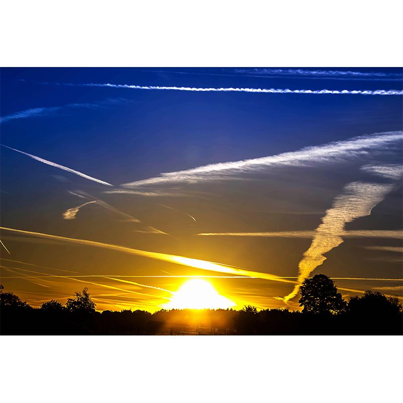 Cloud Sky Contemporary Sky Wall Mural Mildew Resistant Wallpaper for Bedroom