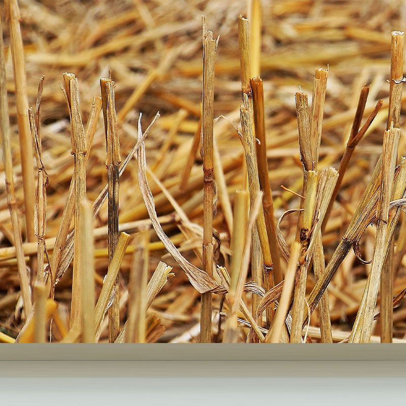 Photo Print Straws Wall Mural Decal for Dining Room, Light Color, Custom Size Available