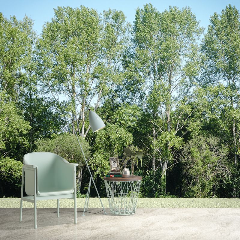 Green Forest View Wall Mural for Living Room Wall Decor, Made to Measure