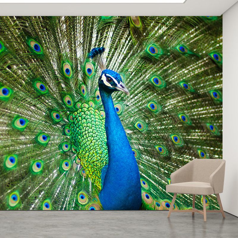 Large Peacock Mural Decal for Living Room Moisture Resistant, Made to Measure