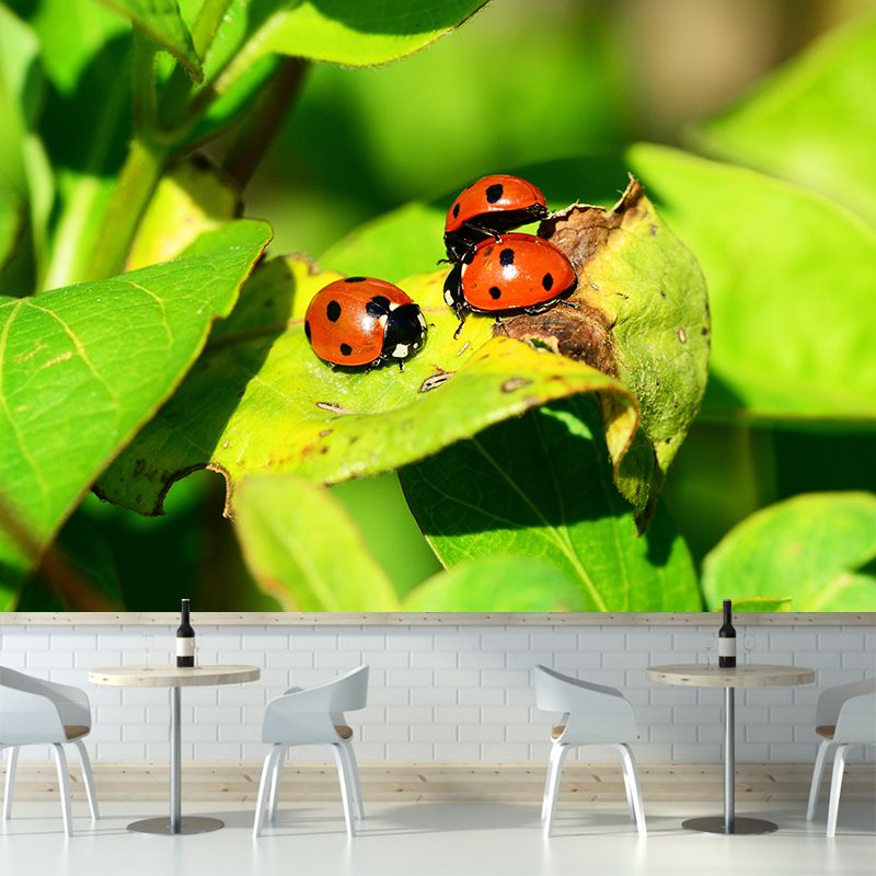 Little Ladybug Mural Wallpaper Moisture Resistant for Living Room Bedroom