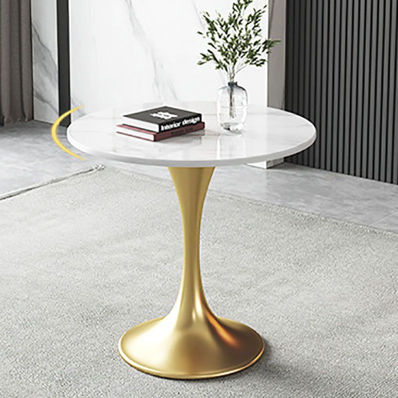Metal Traditional Luxury Round Table for Home Sintered Stone Table with Tulip