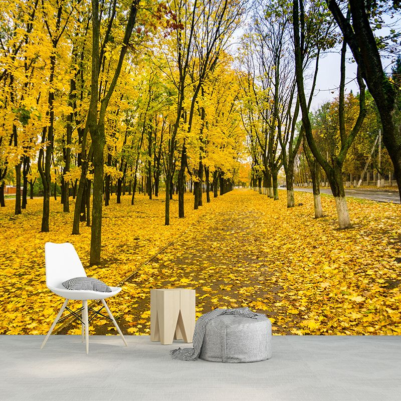Photographic Autumn Forest Mural Mildew Resistant Wall Decor for House Interior