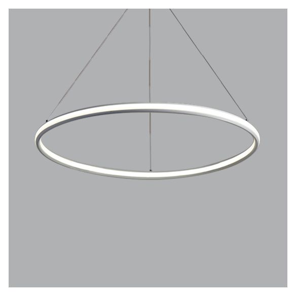 Acrylic Ring Chandelier Simple 1/2/3-Light LED Ceiling Pendant Lighting Fixture in Warm/White/Natural Light