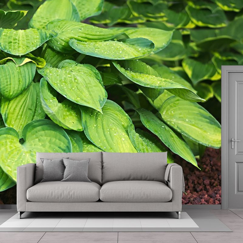 Leaf Plant Mural Stain Resistant for Dining Room Wall Decor, Made to Measure