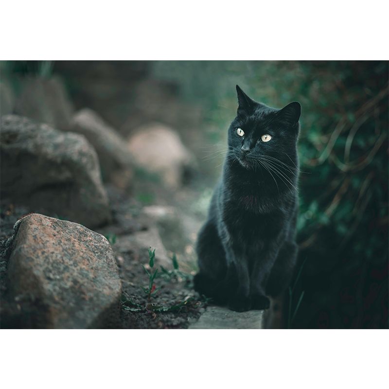 Lovely Cat Wall Mural Wallpaper Mildew Resistant Wall Covering for Decoration