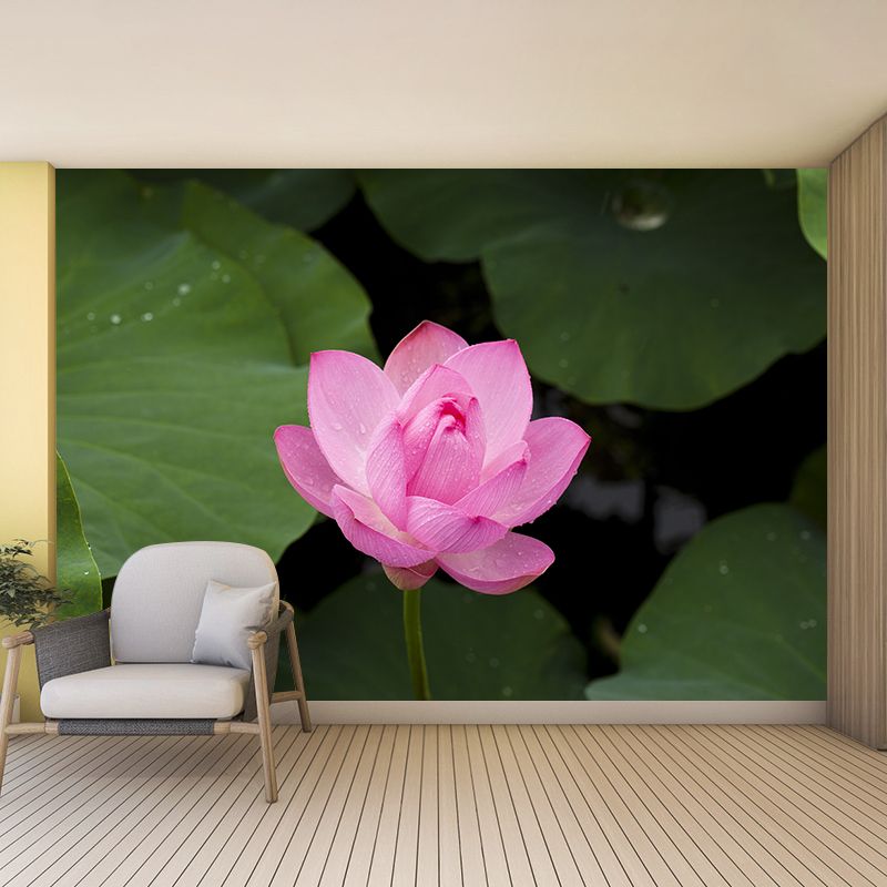 Beautiful Flower Wallpaper Mural Red and Pink Wall Decor for Bedroom, Waterproofing