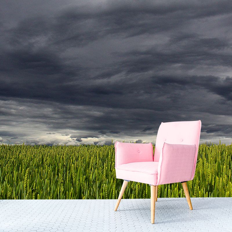 Wheat Field Modern Photography Mural Wallpaper Indoor Wall Mural