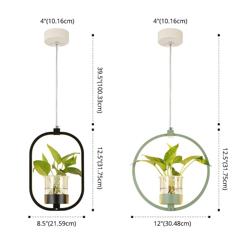 Modern Metal Hanging Lamp 1 Light Pendant Light for Dining Table (without plants)