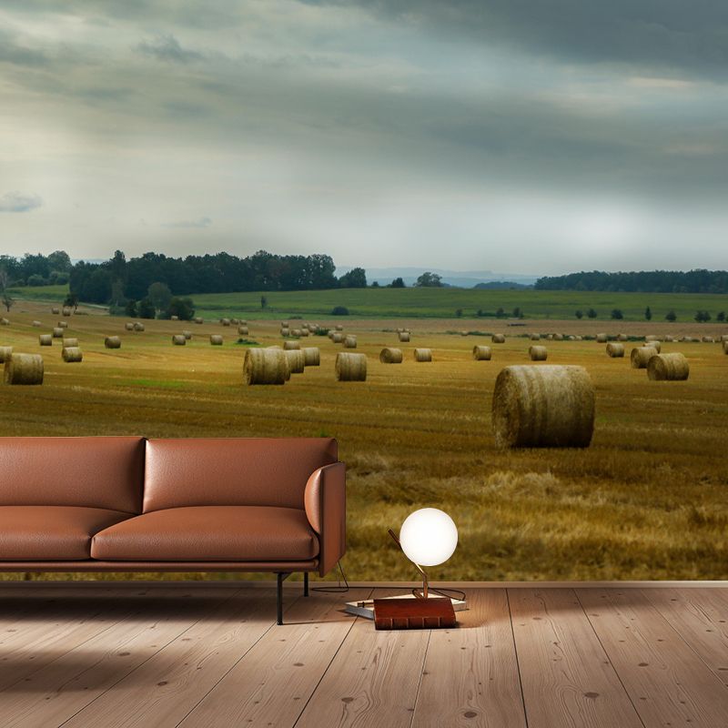 Customized Modern Straw Bale Mural Decal Light Color Wall Decor Mildew Resistant for Living Room
