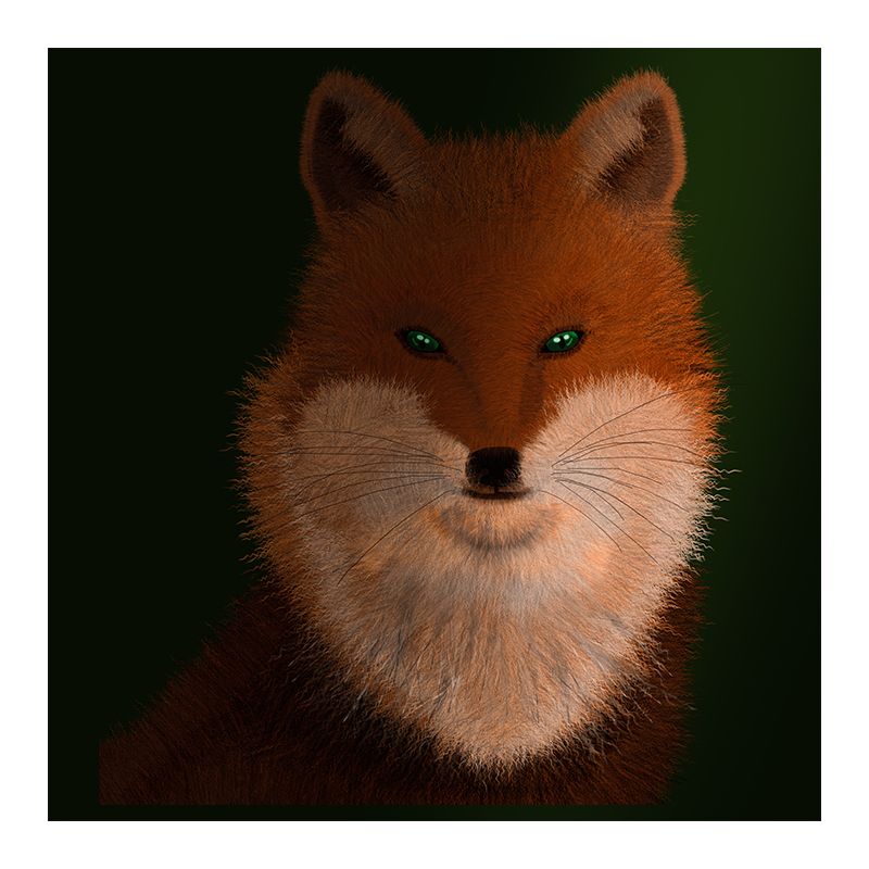 Animals Illustration Wall Mural Wallpaper Sitting Room Wall Mural