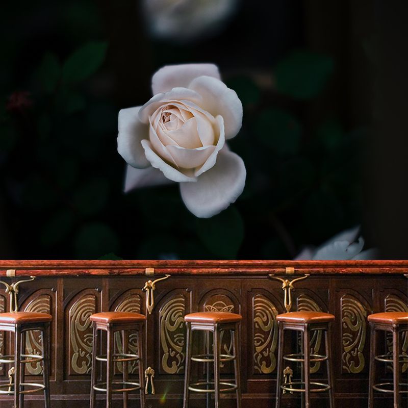 Photography Style Rose Blossom Mural Wallpaper Modern Wall Covering for Living Room