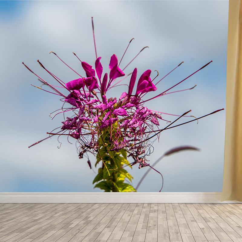 Flower Blossom Mural Wallpaper Modern Wall Covering for Sitting Room, Made to Measure