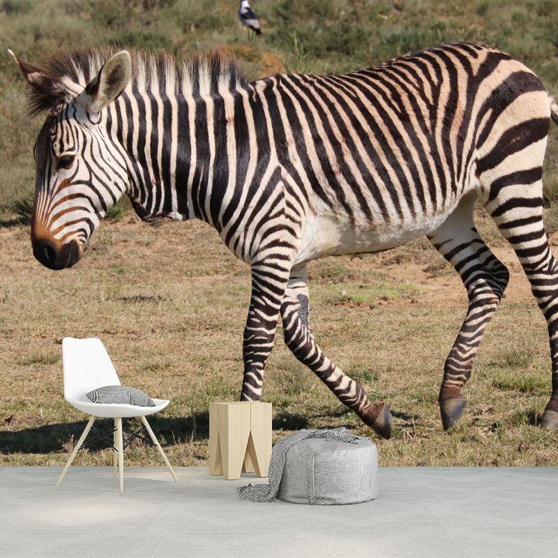 Black and White Zebra Wall Covering for Home Wall Decor, Water Resistant