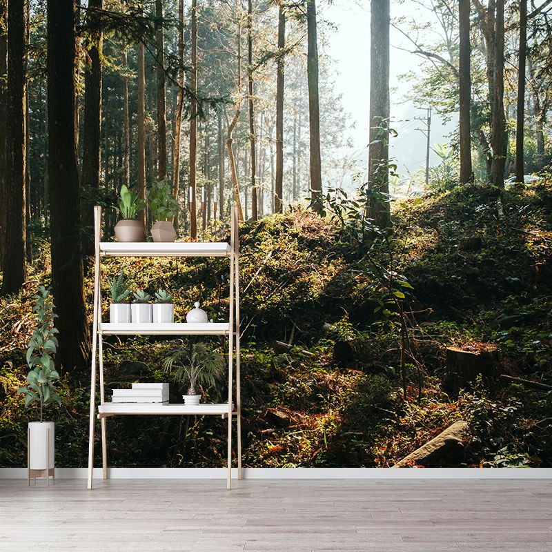 Environmental Wall Mural Wallpaper Forest Scenery Living Room Wall Mural