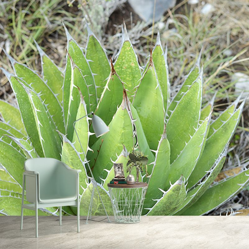 Tropical Plants Mural Wallpaper Moisture-Resistant Wall Covering for Bedroom