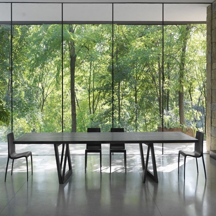 Rectangle Pine Wood Dining Table Industrial Black Table with Double Pedestal