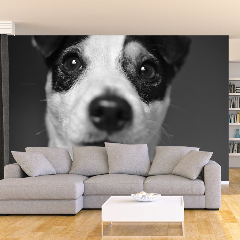 Horizontal Photography Lovely Dog Mural Stain Resistant Wall Art for Living Room