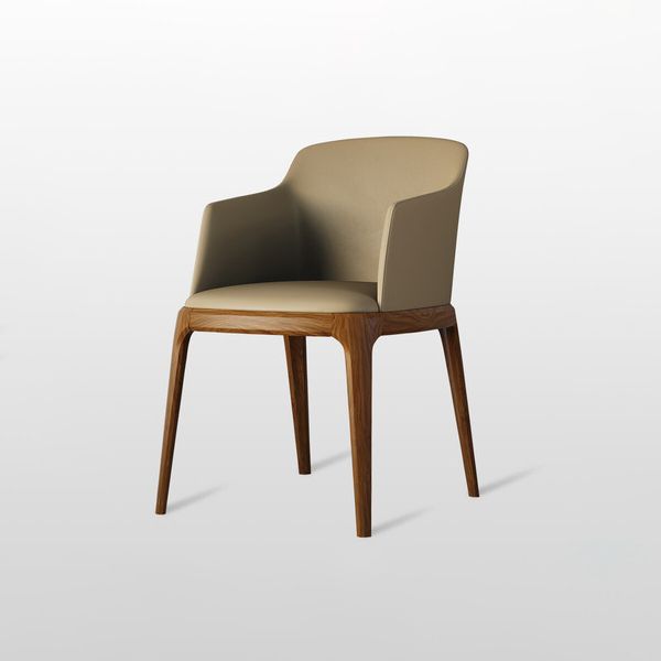 Contemporary Style Wooden Dining Chairs Dining Arm Side Chairs for Kitchen (Set of 2)