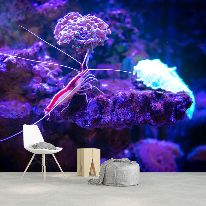 Underwater Creature Wall Decals for Girls Boys Bedroom, Moisture Resistant