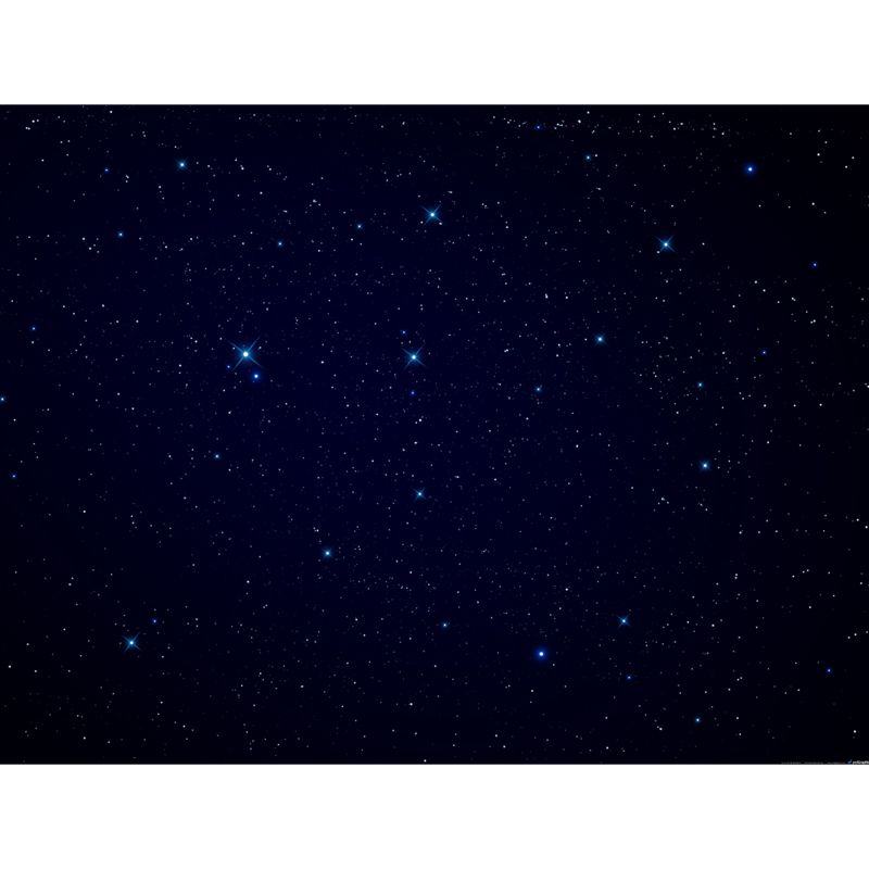 Whole Glittering Star Wall Mural Modern Resplendent Night Sky Wall Covering in Black