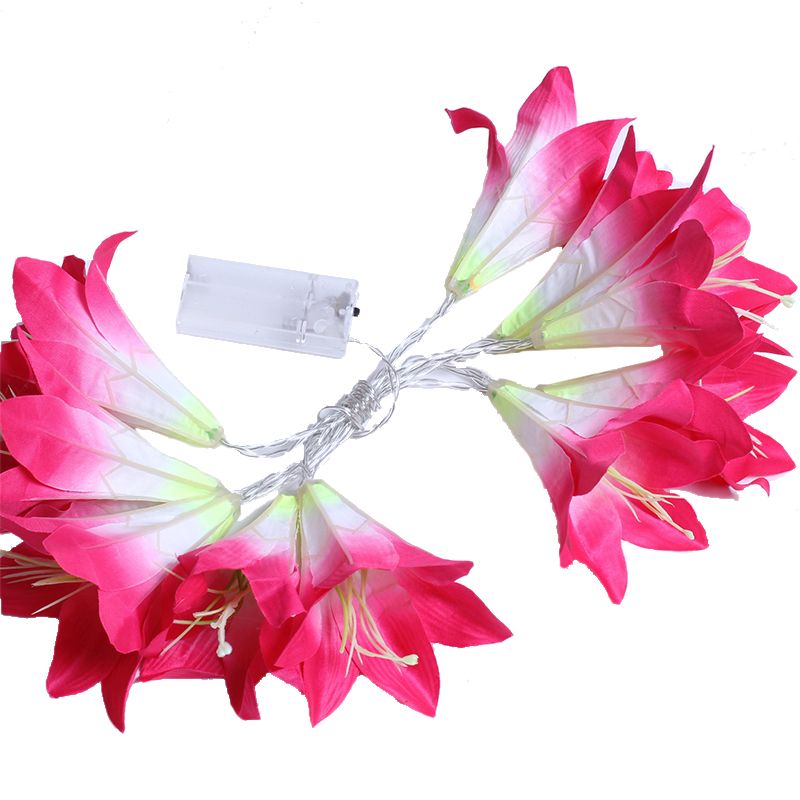 Lily Fabric String Light Ideas Countryside 3M 20 Heads Blue/Pink/White LED Fiesta Lighting for Indoor