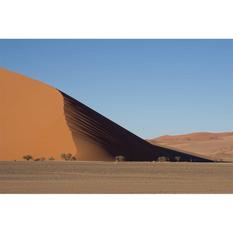 Yellow Desert Scenery Mural Moisture Resistant Wall Art for Sleeping Room