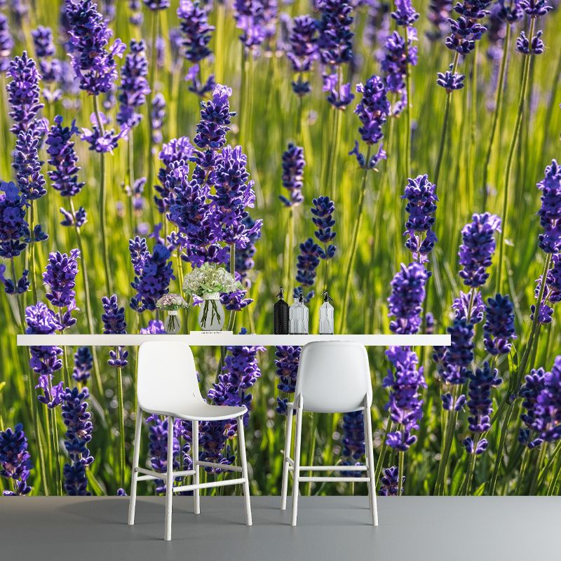 Horizontal Photography Lavender Wall Mural for Living Room Girls Women Bedroom