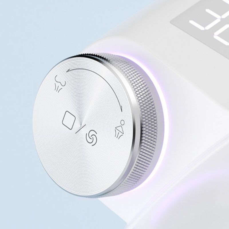 White Egg Shaped Electronic Elongated Toilet Floor Standing Bidet