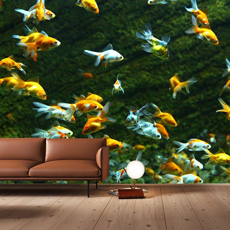 Sea Creatures Photography Decorative Wall Murals for Bedrooms Sitting Room