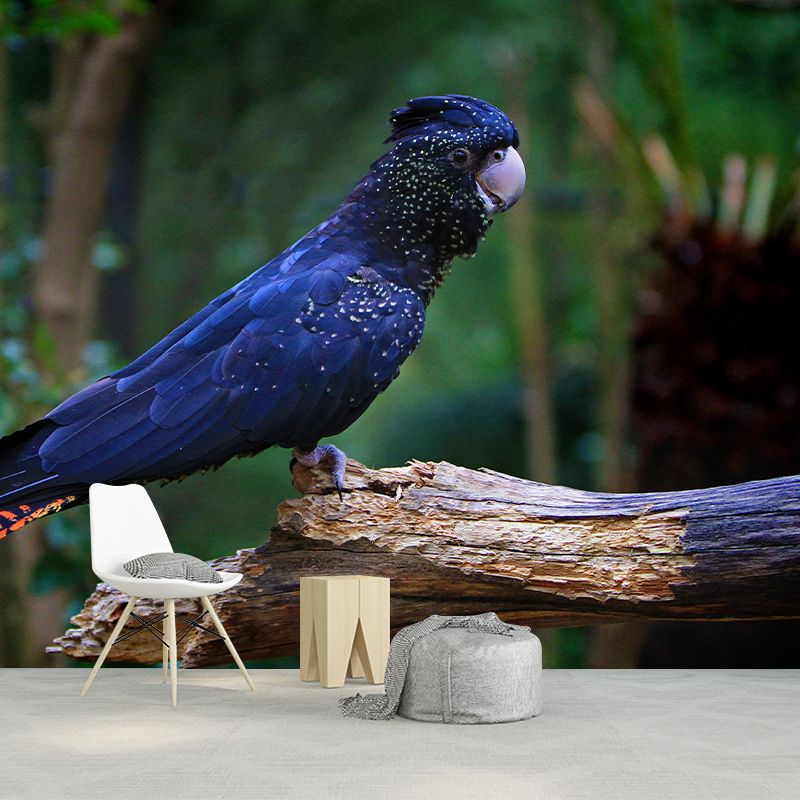 Lovely Parrot Wall Mural Wallpaper Mildew Resistant Wall Covering for Decoration