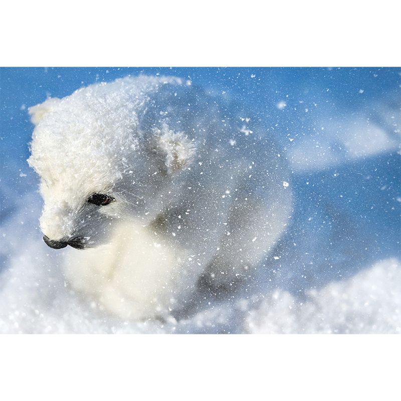 Polar Bear Mural Wallpaper for Accent Wall, Personalized Size Available