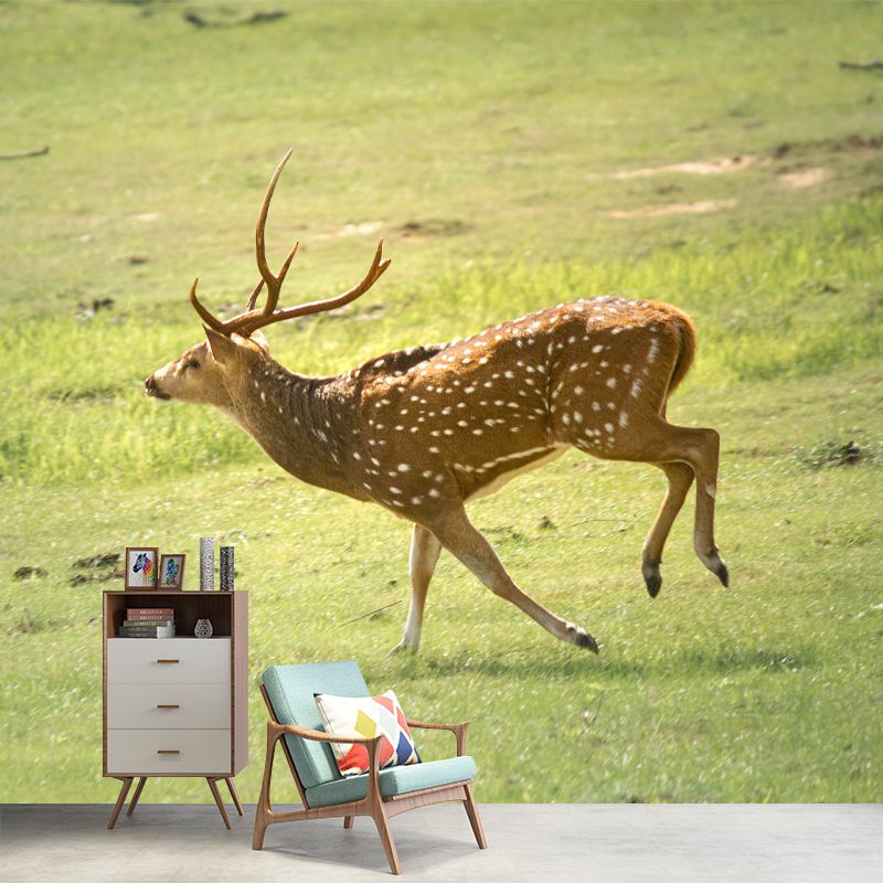 Deer Mural Decal Moisture Resistant Wall Covering for Home Living Room