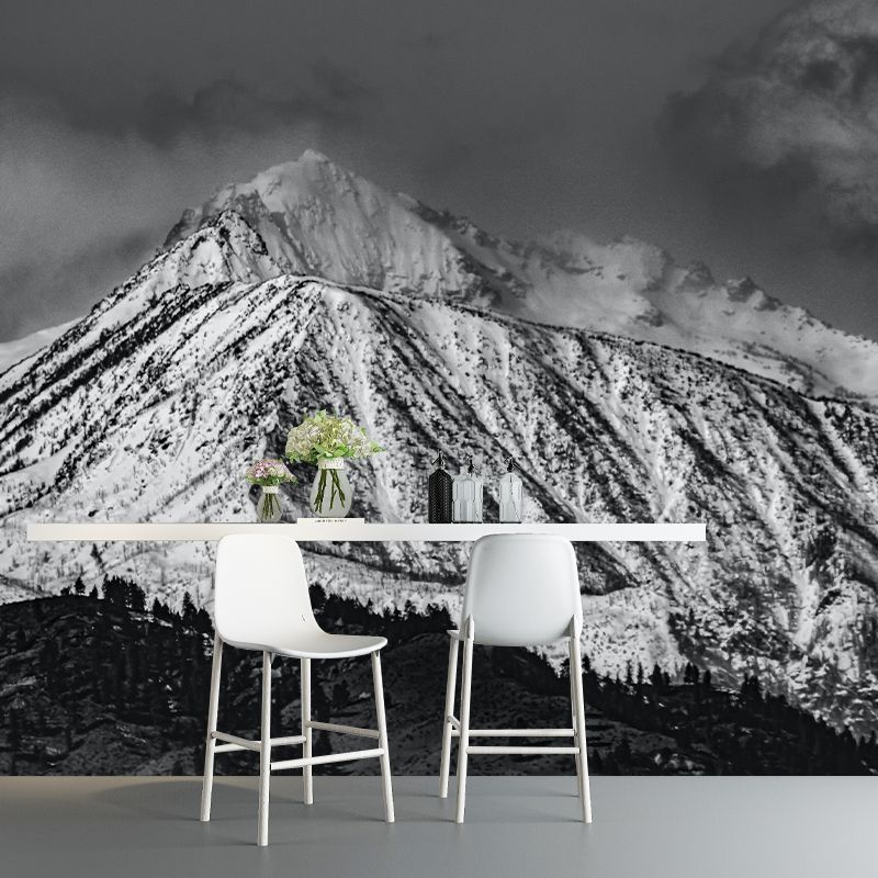 Snow Mountain Wall Mural Wallpaper Photography Resistant for Room