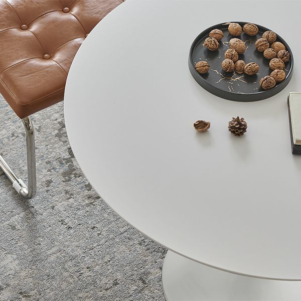 Modern Tulip Pedestal White Dining Table Stone Table for Kitchen