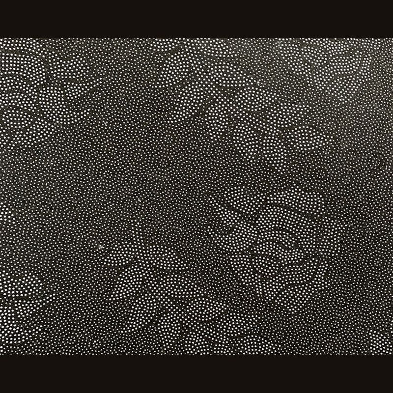 Simplicity Home Decoration Rug Graphic Pattern Area Carpet Polyester Non-Slip Backing Indoor Rug