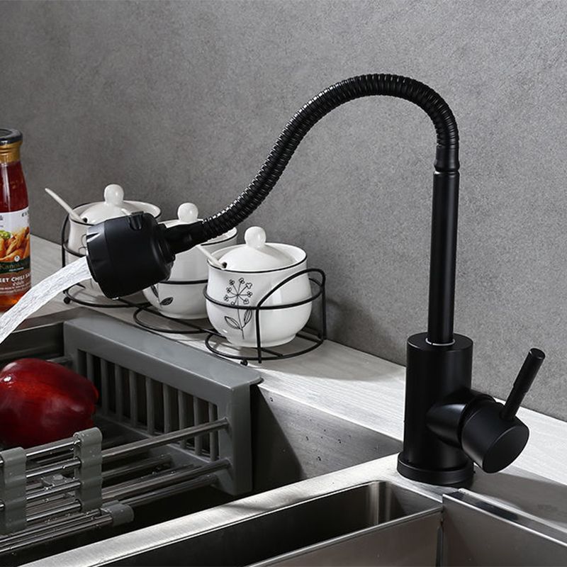 Modern 1-Handle 1-Hole Faucets Black and Silver Standard Kitchen Faucet