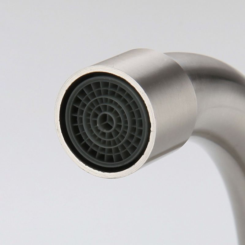 Contemporary 2-Function Kitchen Faucet 1-Handle Faucet with Stainless Steel