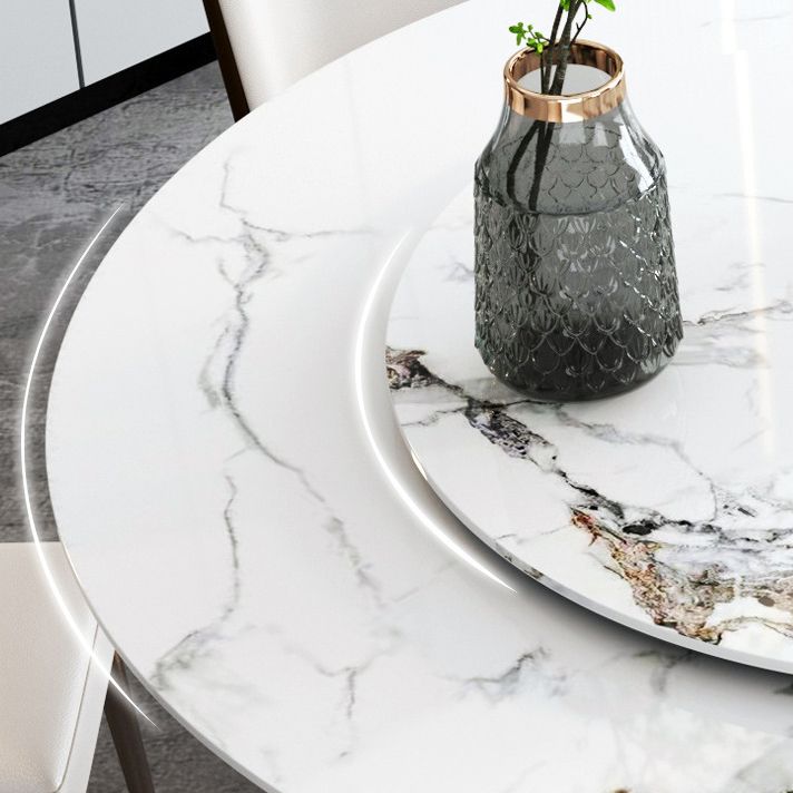 Modern 1/4/7 Pieces Dining Table Set with Sintered Stone Top Stainless Steel Dinette Set