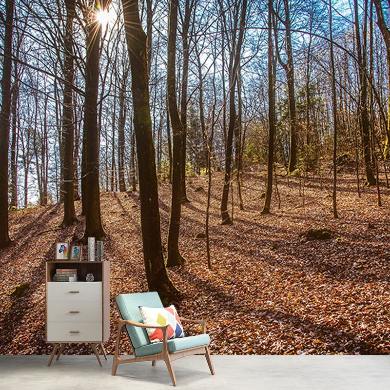 Living Room Contemporary Photography Forest Wall Mural Wallpaper Wall Covering