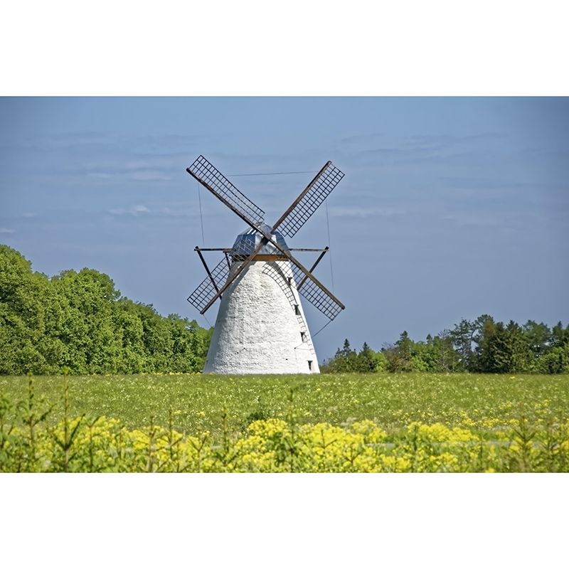 Dining Room Wall Mural Wallpaper Small Town Windmill Mildew Resistant Wall Decor