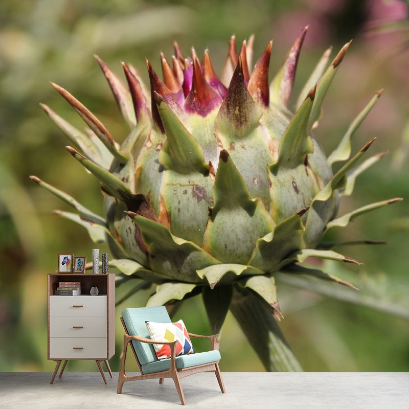 Artichoke Wall Mural for Reading Room Bedroom Decoration, Personalized Size