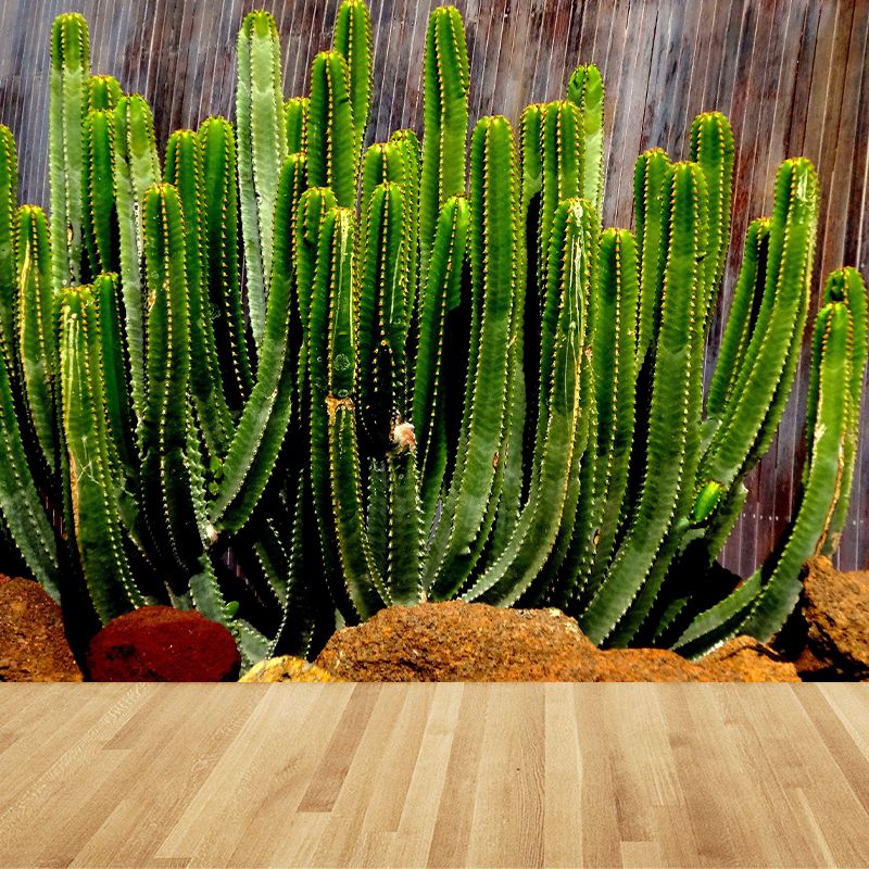 Fashionable Wall Mural Cactus Printed Drawing Room Wall Mural
